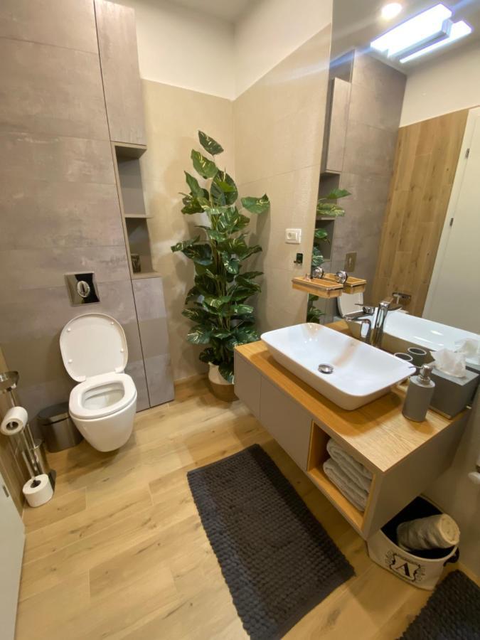 Art'Penthouse Aparthotel Brasov Luaran gambar